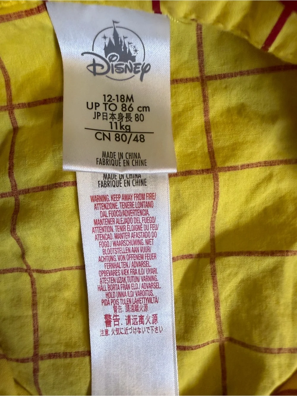 Disney includes woody’s